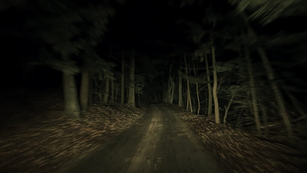 a road in the night and dark with trees in the background